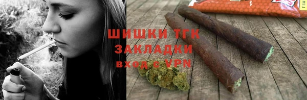 индика Балабаново