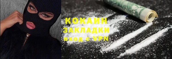 индика Балабаново