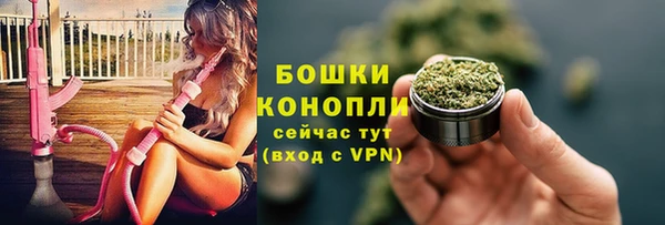 индика Балабаново