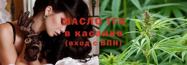 индика Балабаново