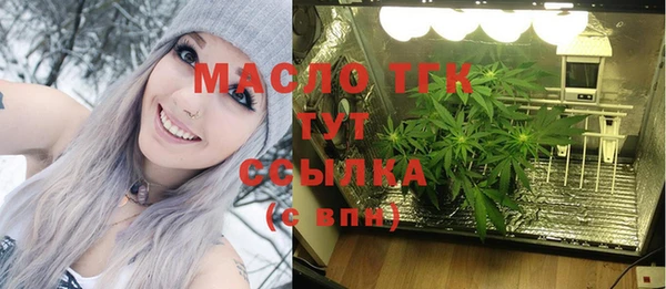 индика Балабаново